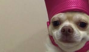 Among Us Con Discord Home Facebook