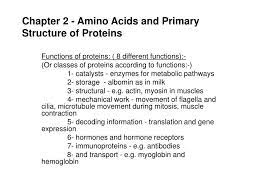 Every polypeptide has a specific amino acid sequence. Ppt Chapter 2 Amino Acids And Primary Structure Of Proteins Powerpoint Presentation Id 3498972