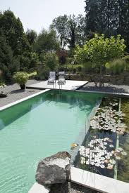 Pin By Shelley On Pool Swimming Pool Landscaping Swimming Pools Backyard Swimming Pool Pond