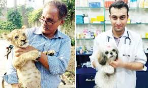 Pets & vets dr faisal clinic i̇slamabad •. Compassion For Strays