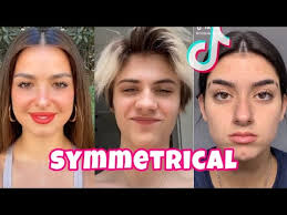 Symmetrical Face Tiktok Videos 2020 Youtube