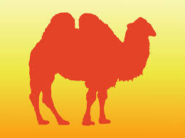 Not forgetting the wild bactrian camel. Bactrian Camel Vector Art Graphics Freevector Com