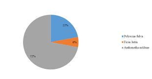 Image result for Anthonotha noldeae