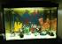 Harry Potter Fish Tank