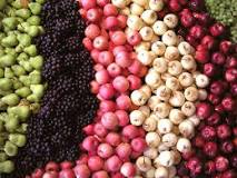 Fruit Farming in South Africa