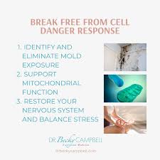 How Mold Traps Your Body in Danger: The Secrets of Cell Danger Response -  Dr. Becky Campbell
