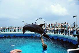 Gulfarium Marine Adventure Park 1985 Adventure Park Fort Walton Beach Adventure