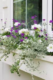 Enjoy the best designs for 2021 and discover your favorites! White And Purple Flower Window Box Flowers The Lilypad Cottage
