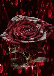 I started buying from gif over 7 years ago when they were still located in granville island. Beautiful Love Flowers Gif Images