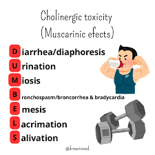 Image result for Cholinergic Toxicity