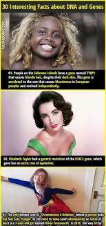 When inserted into mice, the human blond hair mutation also gave mice lighter coat colors than the brunette version of the gene. 30 Interesting Facts About Dna And Genes Fact Republic Dna And Genes Fun Facts Dna Facts
