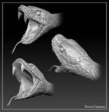 Snake Zbrush Buscar Con Google Zbrush Maleficent Costume Diy Jewellery Sketches