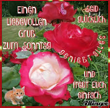Noch immer sind all jene gif sehr beliebt. Das Wunsche Ich Dir Von Herzen Gluckwunsche Zum Geburtstag Mann Sonntagsgrusse Guten Morgen Gruss