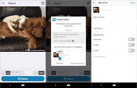 How to repost on the facebook website on pc. How To Quickly Repost Instagram Photos