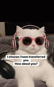 After having my leaderboard nickname butchered repeatedly, it was  felinefanatic, which was frequently pronounced felon fanatic, feline  fantastic, feeling fantastic etc. I am now officially “Die Lard”. please  tell me this will