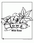 Kansas state flower coloring page. State Flower Coloring Pages Woo Jr Kids Activities