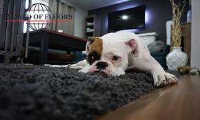 Way floors can help you. Strategies For Staging Carpet World Of Floors Brandon Facebook