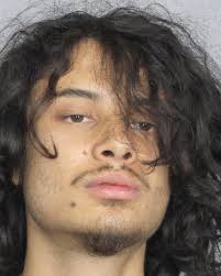 Arauz-flores, Brandon Adam DISORD CONDUCT-BREACH OF THE PEACE Bail: $150.00  RESIST OFFICER-OBSTRUCT WITHOUT VIOLENCE Bail: $500.00 Age: 22 Height:  6'00" Weight: 180 lbs Sex: Male Race: W Location: Main Jail Arresting  Agency: