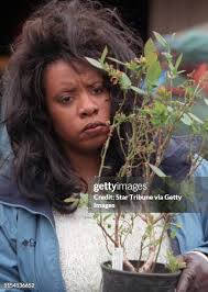 99 Cheryl Berry Stock Photos, High-Res Pictures, and Images