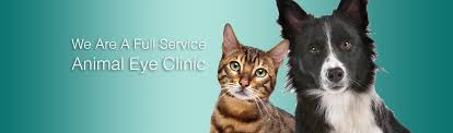 Where is vca eye clinic for animals located? Animal Eye Professionals In Florida Animal Eye Specialty Clinic