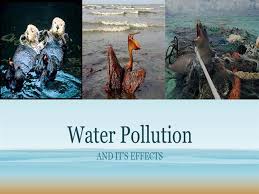 Water Pollution It S Effects Authorstream