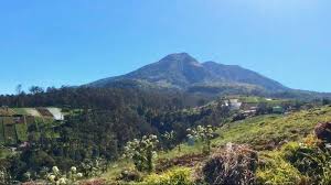 Untuk kamu yang mau kesini sekarang pintu masuk bisa lewat wana wisata tirto gumarang dengan harga tiket masuk sebesar rp.15.000. Tag Cemoro Sewu Jalur Pendakian Gunung Lawu Via Cemoro Sewu Ditutup Setelah Ada Satu Pendaki Meninggal Tribunnews Com Mobile