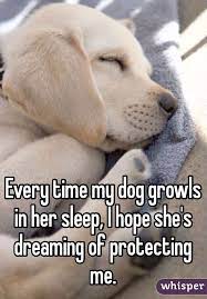 Whisper Share Secrets Express Yourself Meet New People Dog Growling Dogs Animals Are Beautiful People