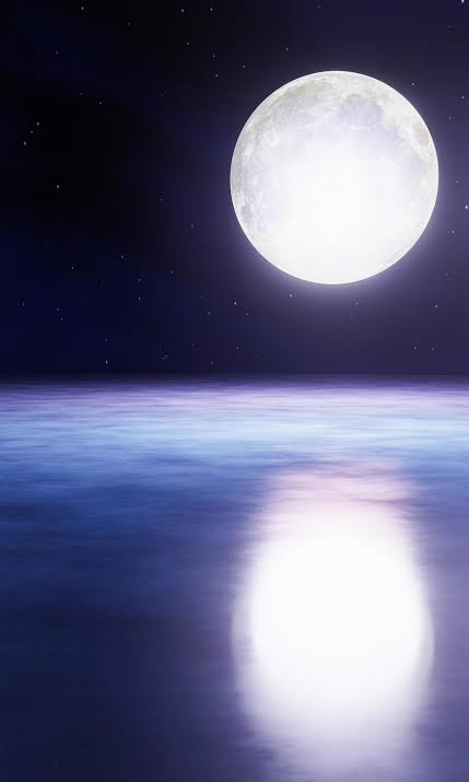 The blue full moon is reflected in the sea. A wave of water from the ocean  to island. The sky has many stars. Ripples on the sea at night. 3D  Rendering 6660141