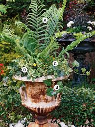 We did not find results for: A Gallery Of Beautiful Container Garden Ideas Better Homes Gardens
