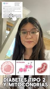 Diabetes Tipo 2 y Mitocondrias 🥼✨, Les presentamos el resumen del artículo  de revisión de nuestro estudiante de Doctorado 🧑‍🔬, “Efectos de los  estrógenos en la mitocondria: Un acercamiento a la ...