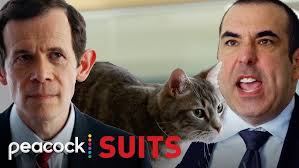 Louis and Nigel's Cat Fight