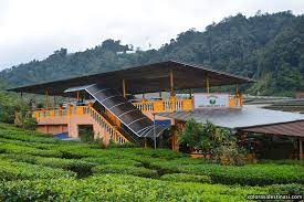 We did not find results for: Cameron Tea Valley Jalan Jalan Sekitar Ladang Teh Dan Minum Teh Xplorasi Destinasi