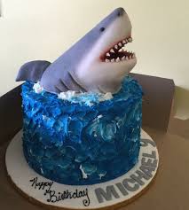 Shark Cake Shark Birthday Cakes Shark Cake Toddler Birthday Cakes