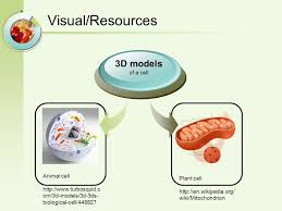 We did not find results for: Logo Cell Structure And Function Bonnie Zhang Lesson Objectives The Students Will Be Able To Find The Nucleus In The Cell By Following Along In The Lesson Ppt Download