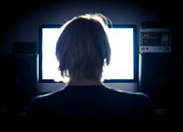 A probe into the Internets most risqué law - NZ Herald