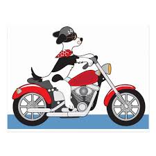 dog motorcycle postcard zazzle com motorcycle illustration red motorcycle motorcycle drawing
