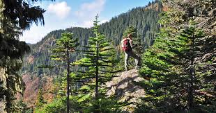 Maybe you would like to learn more about one of these? The Pacific Northwest Activities You Need To Do This Fall Thrillist