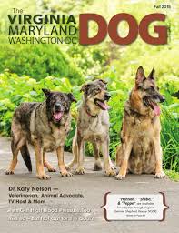 We are a nonprofit 501(c)(3) rescue comprised solely of unpaid volunteers that share the common goal of saving neglected, abused, and abandoned german shepherds and german shepherd mixes from shelters, owners who can no longer keep them and partner rescues. The Virginia Maryland Dog Fall 2015 By Pam Wahl Issuu