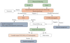 Image result for Small Intestinal Bleeding