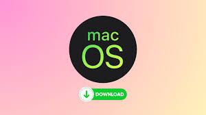 How to find out when macOS was last reinstalled on your Mac