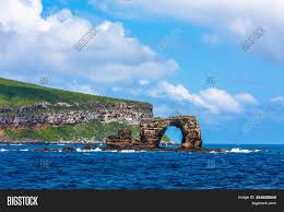 Pictures, dive logs, reviews and articles. Famous Darwins Arch Image Photo Free Trial Bigstock