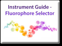 Multicolor Staining Guide