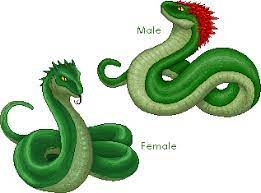Basilisk Sprites I Made For A Harry Potter Fansite Basilisk Harry Potter Harry Potter Fantastic Beasts Basilisk
