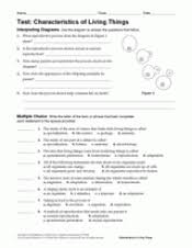 A bear hibernates when it is cold _. Life Science Test Characteristics Of Living Things Printable 6th 12th Grade Teachervision