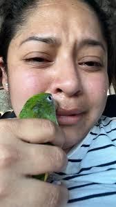 I have about 2-3 large boxes of mostly little girls toys in barely used  condition, that I need to get rid of asap. Is there a place in Dundalk that  I can