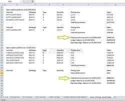 Turnover Balance Sheet And P L Varsity By Zerodha
