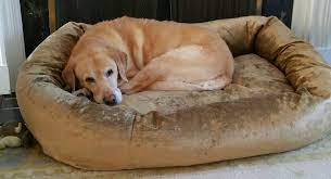 We did not find results for: Dog Bed Black Friday Deals 2021 Black Friday Free