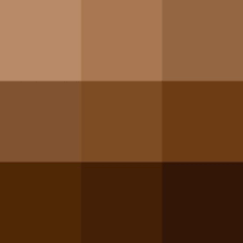 Shades Of Brown Albnews Info