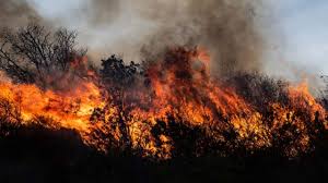 Murió un hombre que intentó ayudar a los bomberos. 10 Veces El Tamano De La Ciudad De Buenos Aires Los Masivos Incendios En La Provincia De Cordoba Que Han Causado Un Ecocidio En Argentina Bbc News Mundo