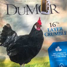 Project feasibility report of poultry feed company. Chicken Debby S Feed Sack Tote Bags
